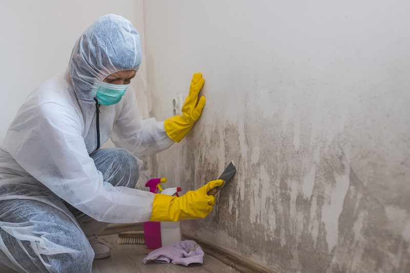 Professional in protective gear removing mould from a wall
