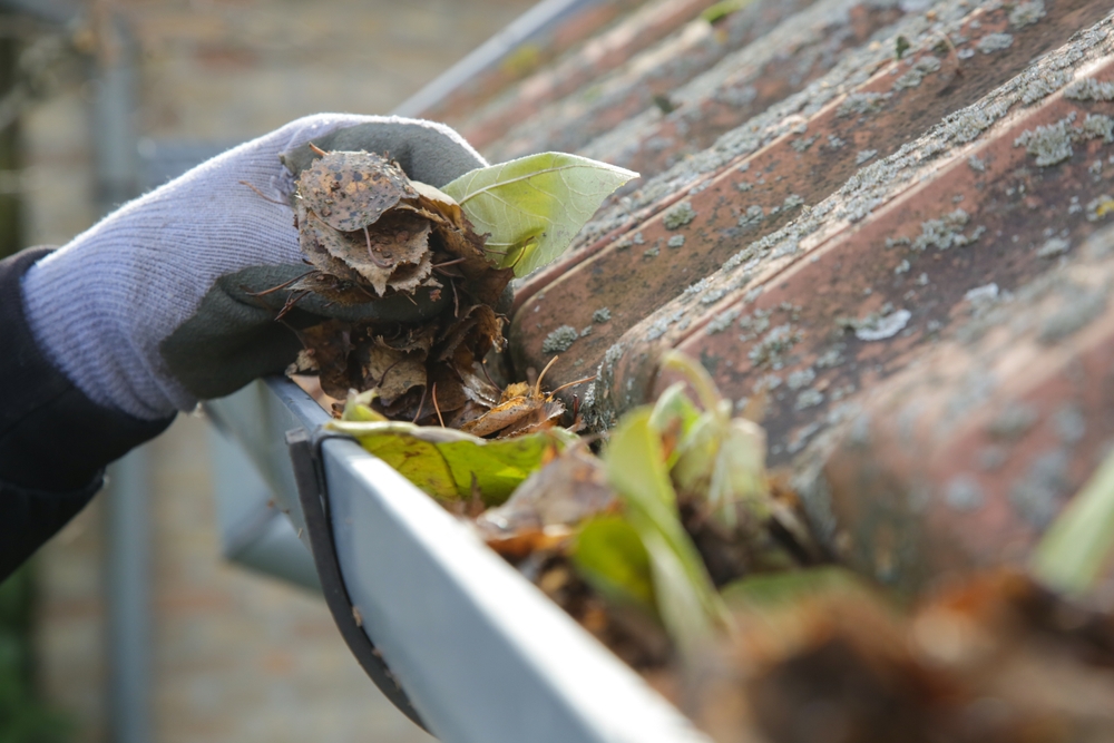 Person wearing gloves cleaning leaves from a roof gutter